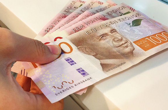 Riksbank advises Sweden to keep cash around